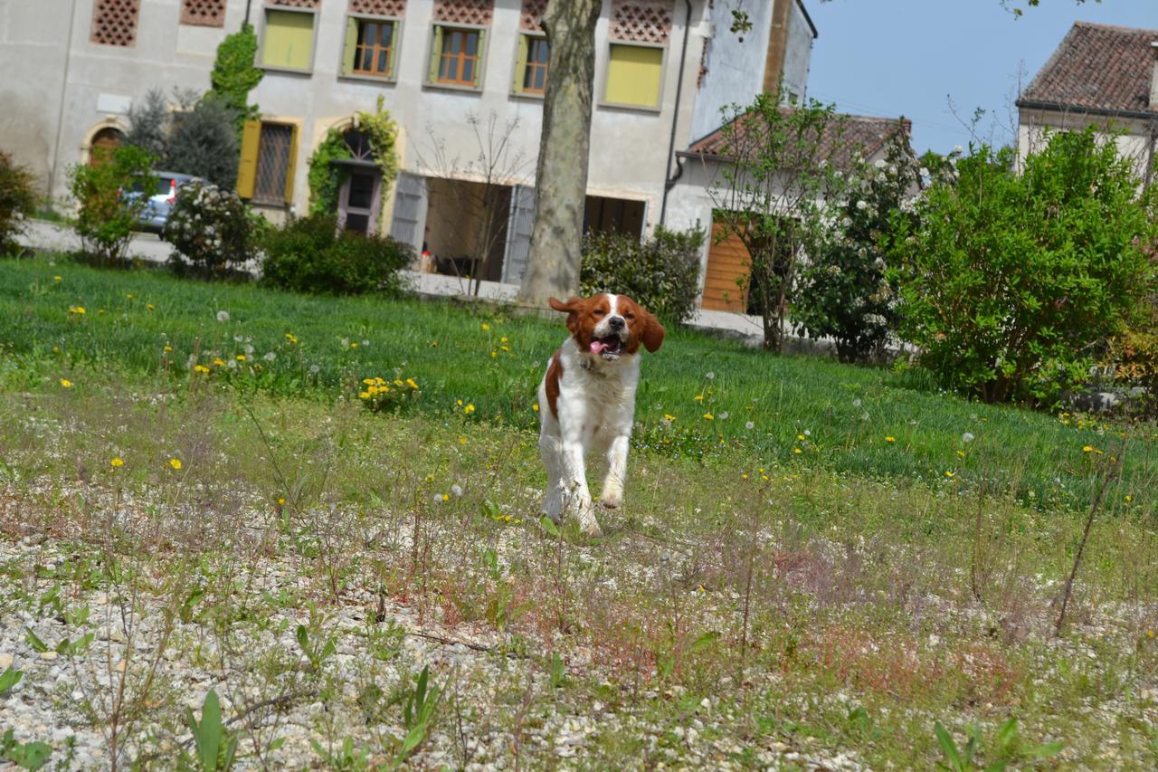 Agriturismo Otto Ducati D'Oro 이솔라 델라 스칼라 외부 사진