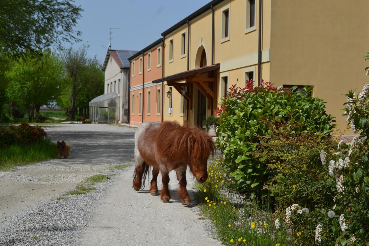 Agriturismo Otto Ducati D'Oro 이솔라 델라 스칼라 외부 사진